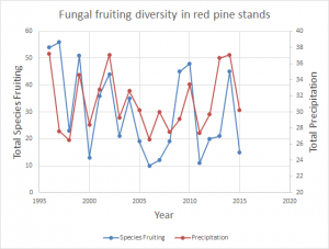 fungal diversity