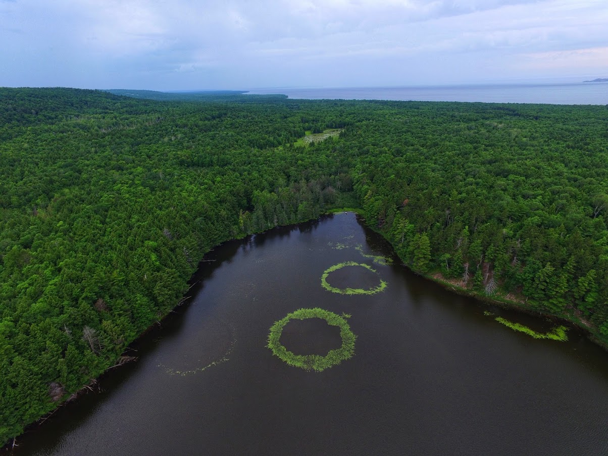 Howe Lake Mystery Rings of Howe Lake – Huron Mountain Wildlife Foundation