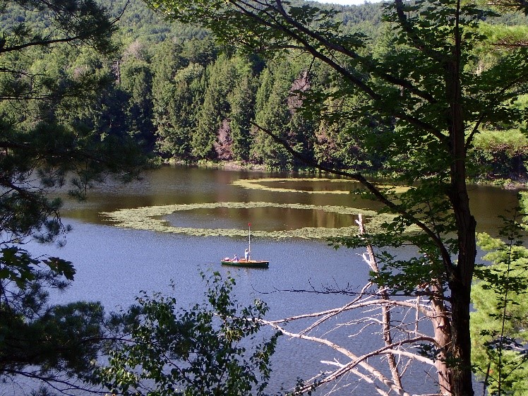 Howe Lake Mystery Rings of Howe Lake – Huron Mountain Wildlife Foundation